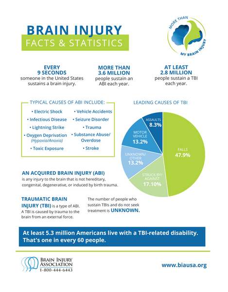 Brain Injury Facts & Statistics Digital Download