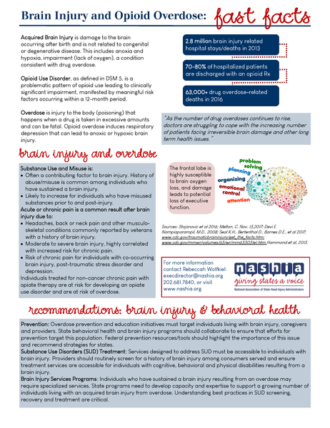 Brain Injury and Opioid Overdose Digital Download