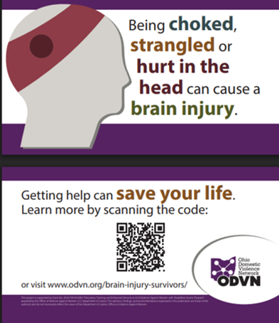 Domestic Violence Brain Injury Information Card