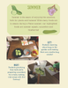 Maine Harvest of the Month PreK-12 Teaching Units - McMahon Family Cookbook (Digital Download)