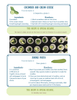Maine Harvest of the Month PreK-12 Teaching Units - McMahon Family Cookbook (Digital Download)