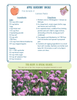 Maine Harvest of the Month PreK-12 Teaching Units - McMahon Family Cookbook (Digital Download)