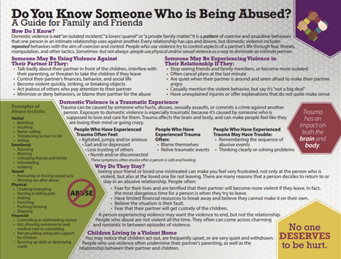 Domestic Violence Guide for Family and Friends (Print Copy)