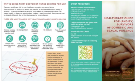 Healthcare Guide for (and by) Survivors of Domestic and Sexual Violence