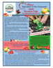 Maine Harvest of the Month PreK-12 Teaching Units - Apple Resource Page (Digital Download)