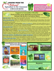 Maine Harvest of the Month PreK-12 Teaching Units - Cucumbers Resource Page (Digital Download)