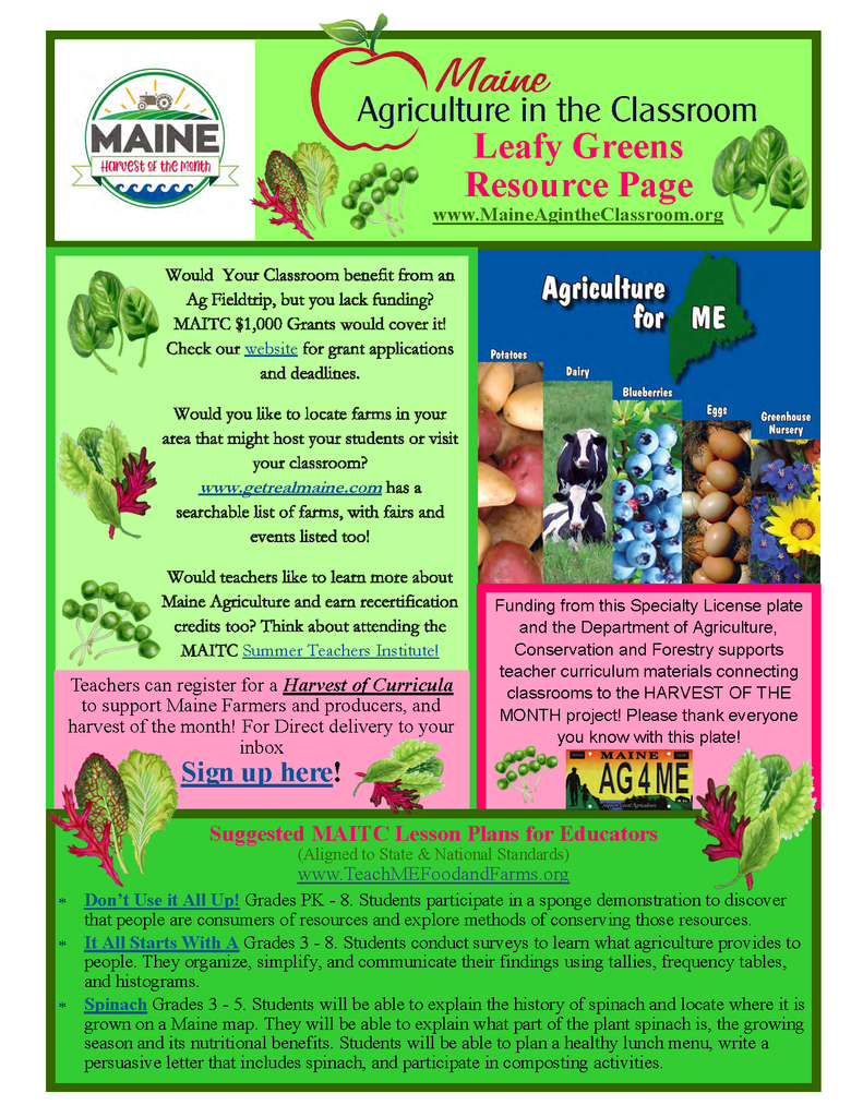 Maine Harvest of the Month PreK-12 Teaching Units - Leafy Greens Resource Page (Digital Download)