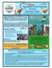 Maine Harvest of the Month PreK-12 Teaching Units - Protein Resource Page (Digital Download)