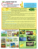 Maine Harvest of the Month PreK-12 Teaching Units - Summer Squash Resource Page (Digital Download)