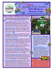 Maine Harvest of the Month PreK-12 Teaching Units - Wild Blueberry Resource Page (Digital Download)