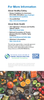 Healthy Diet. Healthy Brain. (Digital Download)