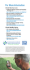 Healthy Hearing. Healthy Brain.  (Digital Download)