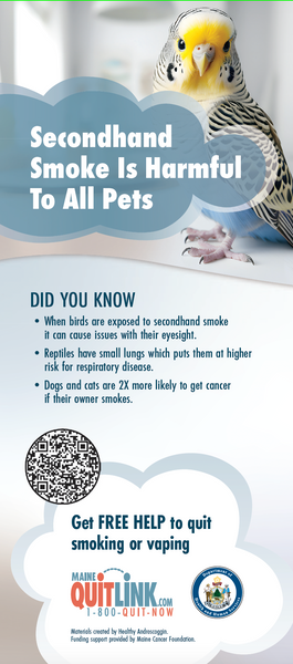Secondhand Smoke is Harmful to All Pets Rack Card - Digital Download Only