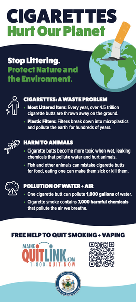 Environmental Impact of Cigarettes & Vapes