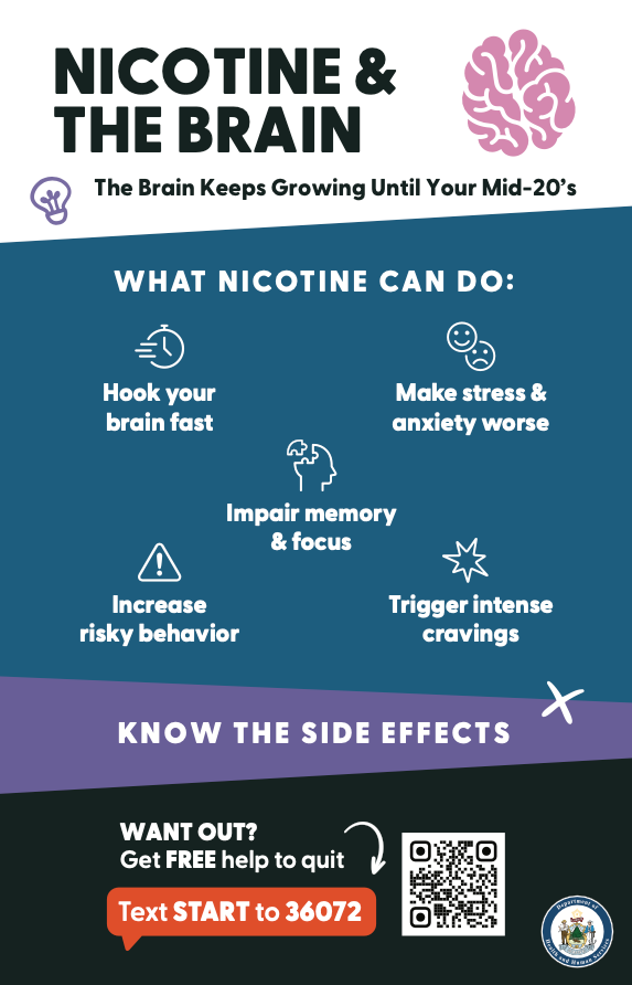 Nicotine & the Brain