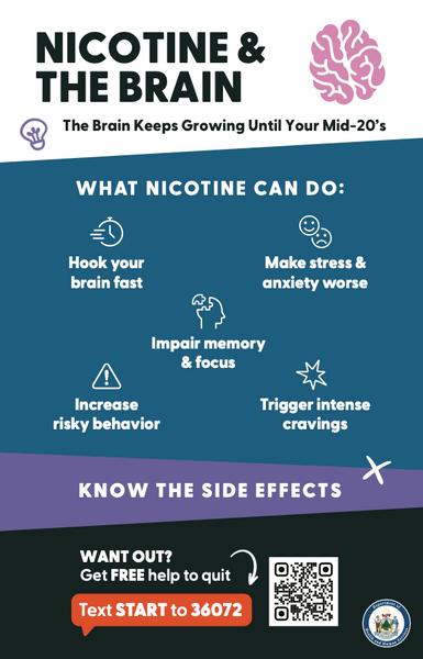Nicotine & the Brain