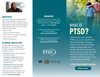 VA What is PTSD Brochure