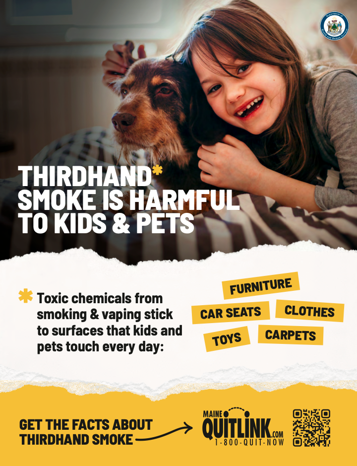 Thirdhand Smoke - Kids & Pets Poster (Digital Download)