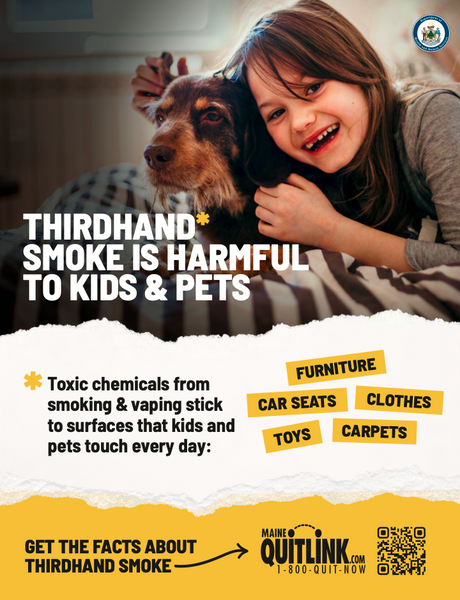 Thirdhand Smoke - Kids & Pets Poster (Digital Download)