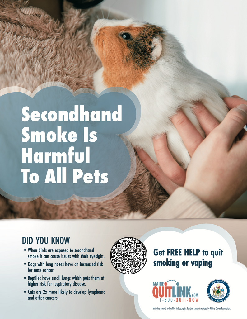 Secondhand Smoke is Harmful to All Pets - Digital Download Only