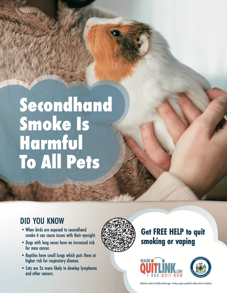Secondhand Smoke is Harmful to All Pets - Digital Download Only