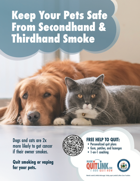Protect Pets from Secondhand & Thirdhand Smoke - Digital Download Only