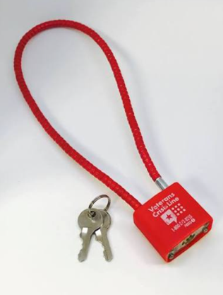 Cable Gun Lock