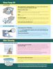 How to Keep Your Breast Pump Clean - (Digital Download)