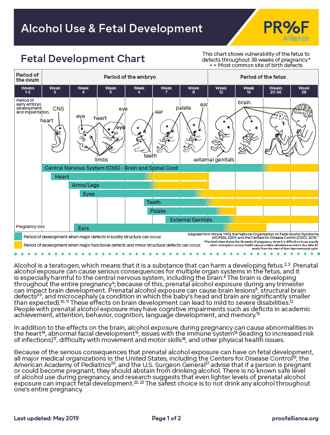 Alcohol Use & Fetal Development Digital Download