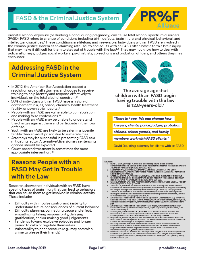 FASD in the Criminal Justice System Digital Download