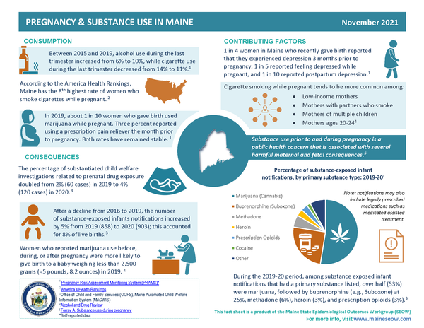 Pregnancy and Substance Use Fact Sheet - Digital Only